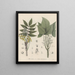 Livre des plantes toxiques Pl63 - Friedrich Berge — framed artwork on a wall