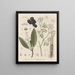 Livre des plantes toxiques Pl64 - Friedrich Berge — framed artwork on a wall