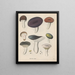 Livre sur les plantes toxiques Pl65 - Friedrich Berge — framed artwork on a wall
