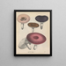 Livre sur les plantes toxiques Pl66 - Friedrich Berge — framed artwork on a wall