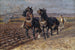 Two black horses with the plow - Friedrich Eckenfelder — artwork view