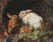 A family of hares - Friedrich Heimerdinger — artwork view
