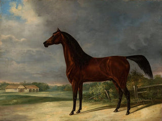 Horse bay - Friedrich Leopold Bürde — artwork view
