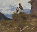Two birds in a mountain landscape - Friedrich Lissmann — artwork view