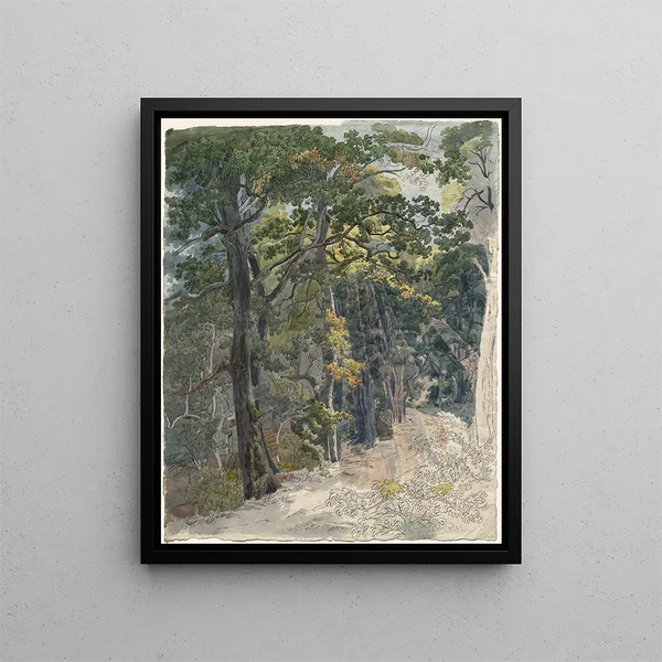 Sunbeams striking a forest trail - Friedrich Salathé — framed artwork on a wall