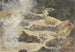 Crater of the Bird in Java - Fritz Hauck — artwork view