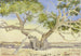 The Tree of Mary near Cairo - Fritz Hauck — artwork view