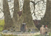 Two Arabs in front of a giant tree used as a dwelling - Fritz Hauck — artwork view