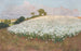 I Buckwheat Field Painting - Fritz Overbeck — artwork view