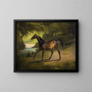 Antonia - Fritz Thomsen — framed artwork on a wall