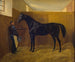 Zampa - Fritz Thomsen — artwork view