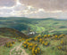 Fleurs de genêt dans l'Eifel - Fritz von Wille — artwork view