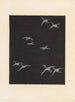 Bijutsukai Pl. 1 - Furuya Korin — artwork view