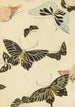 Bijutsukai Pl115 - Furuya Korin — artwork view