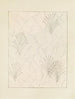 Bijutsukai Pl. 195 - Furuya Korin — artwork view