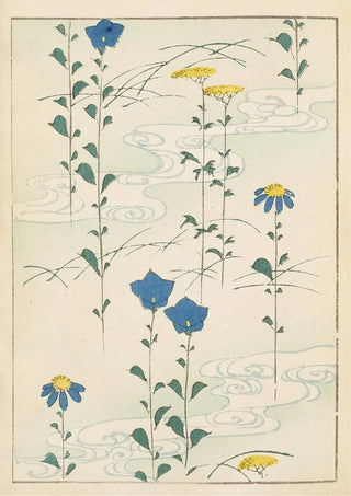 Furuya Krin - Bijutsukai Pl224.webp