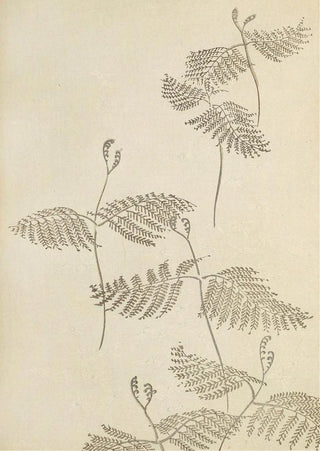 Furuya Krin - Bijutsukai Pl51.webp