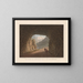 View of the Interior of the Algaby Gallery - Gabriel Lory the Younger — framed artwork on a wall