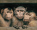 Three Monkeys - Gabriel von Max — artwork view
