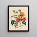 Bignonia grandiflora - Gaetano Savi — framed artwork on a wall