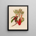 Crataegus glabra - Gaetano Savi — framed artwork on a wall