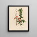 Japanese Quince Painting - Gaetano Savi — framed artwork on a wall