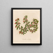 Beautiful Cyril Painting - Gaetano Savi — framed artwork on a wall