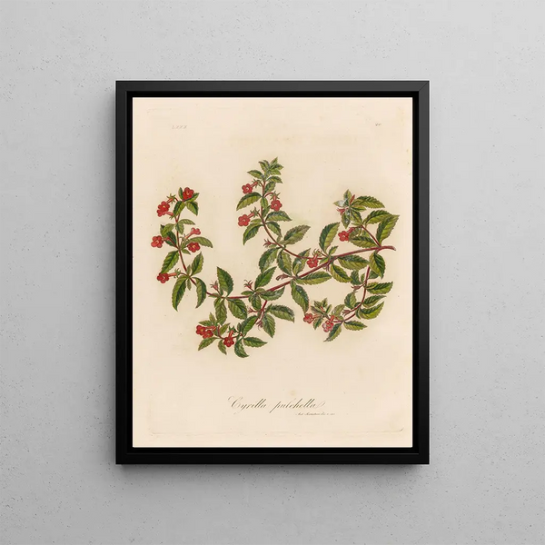 Beautiful Cyril Painting - Gaetano Savi — framed artwork on a wall