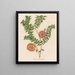 Melaleuca hypericifolia - Gaetano Savi — framed artwork on a wall