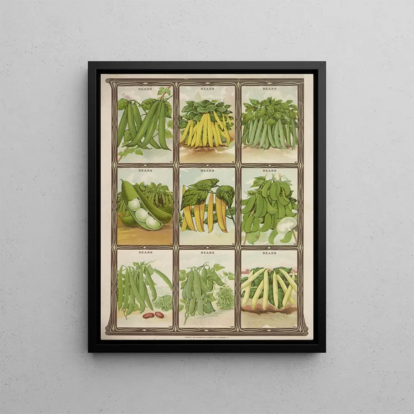Beans - Genesee Valley Lithograph & Co.. — framed artwork on a wall