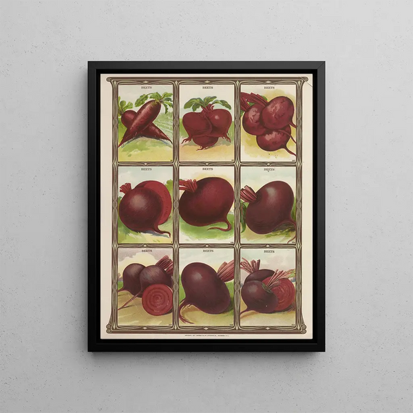 Beets - Genesee Valley Lithograph & Co.. — framed artwork on a wall
