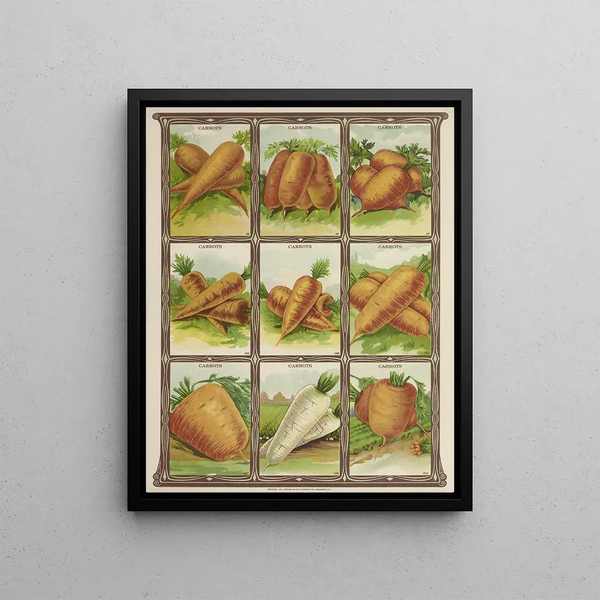 Carrots Painting - Genesee Valley Lithograph & Co.. — framed artwork on a wall