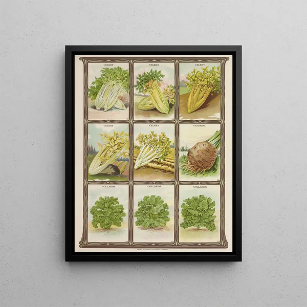 Celery root green cabbage - Genesee Valley Lithograph & Co.. — framed artwork on a wall