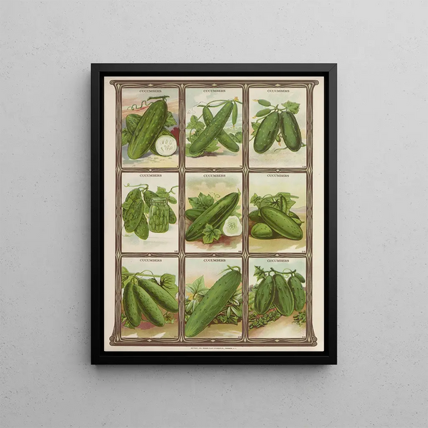 Cucumbers - Genesee Valley Lithograph & Co.. — framed artwork on a wall