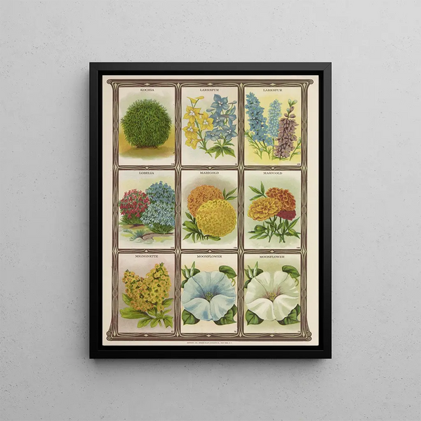 Kochia Larkspur Lobelia Souci - Genesee Valley Lithograph & Co.. — framed artwork on a wall