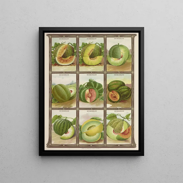 Cantaloup - Genesee Valley Lithograph & Co.. — framed artwork on a wall