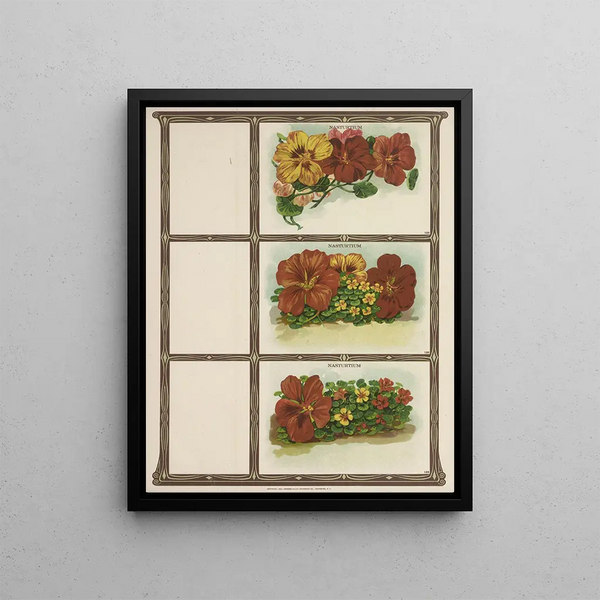 Capucine - Genesee Valley Lithograph & Co.. — framed artwork on a wall