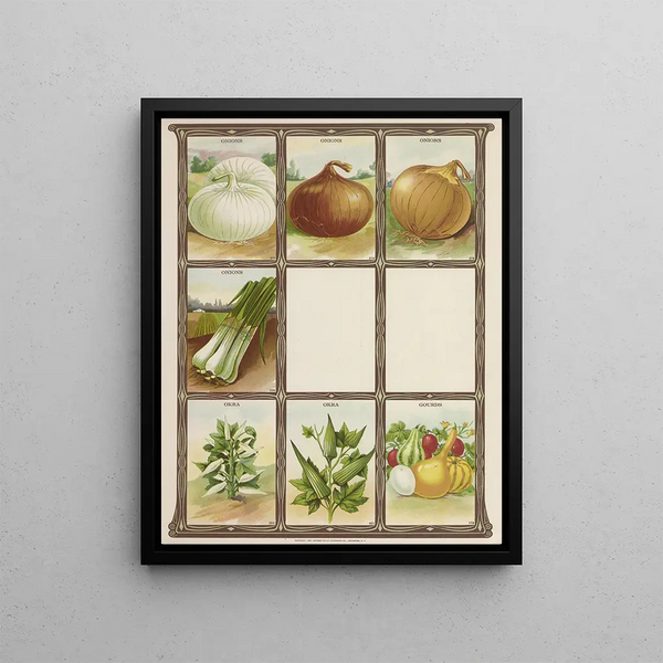 Onions Okra Squash - Genesee Valley Lithograph & Co.. — framed artwork on a wall