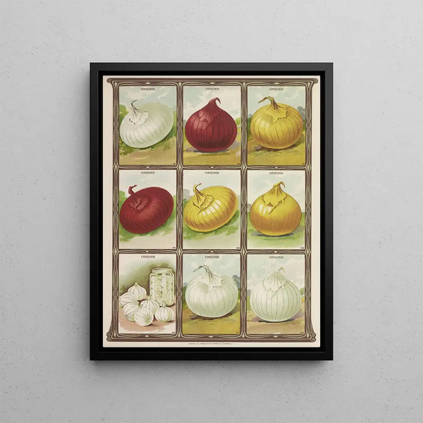 Onions - Genesee Valley Lithograph & Co.. — framed artwork on a wall