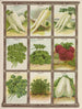 Parsnip Parsley Radish - Genesee Valley Lithograph & Co.. — artwork view