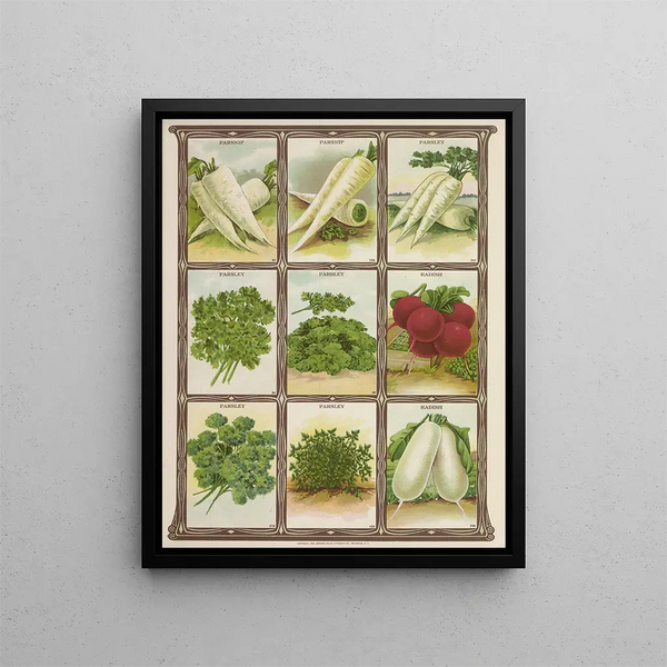 Parsnip Parsley Radish - Genesee Valley Lithograph & Co.. — framed artwork on a wall