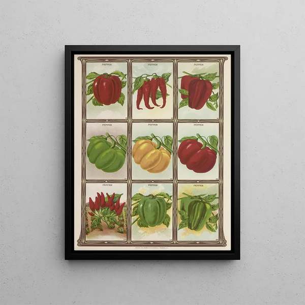 Pepper - Genesee Valley Lithograph & Co.. — framed artwork on a wall