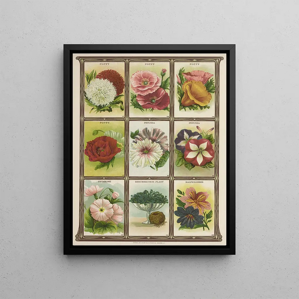 Poppy Pansy Primrose - Genesee Valley Lithograph & Co.. — framed artwork on a wall