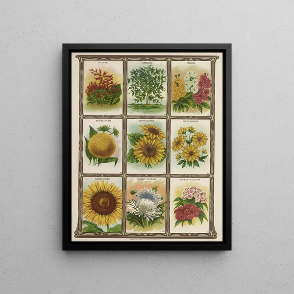 Sunflower Salvia Smilax - Genesee Valley Lithograph & Co.. — framed artwork on a wall