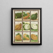 Squash - Genesee Valley Lithograph & Co.. — framed artwork on a wall