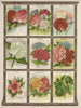 Sweet Pea Verbena Vinca Clove - Genesee Valley Lithograph & Co.. — artwork view