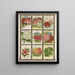 Sweet Pea Verbena Vinca Clove - Genesee Valley Lithograph & Co.. — framed artwork on a wall