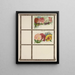 Sweet Pea - Genesee Valley Lithograph & Co.. — framed artwork on a wall