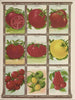Tomato - Genesee Valley Lithograph & Co.. — artwork view