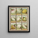 Navet - Genesee Valley Lithograph & Co.. — framed artwork on a wall